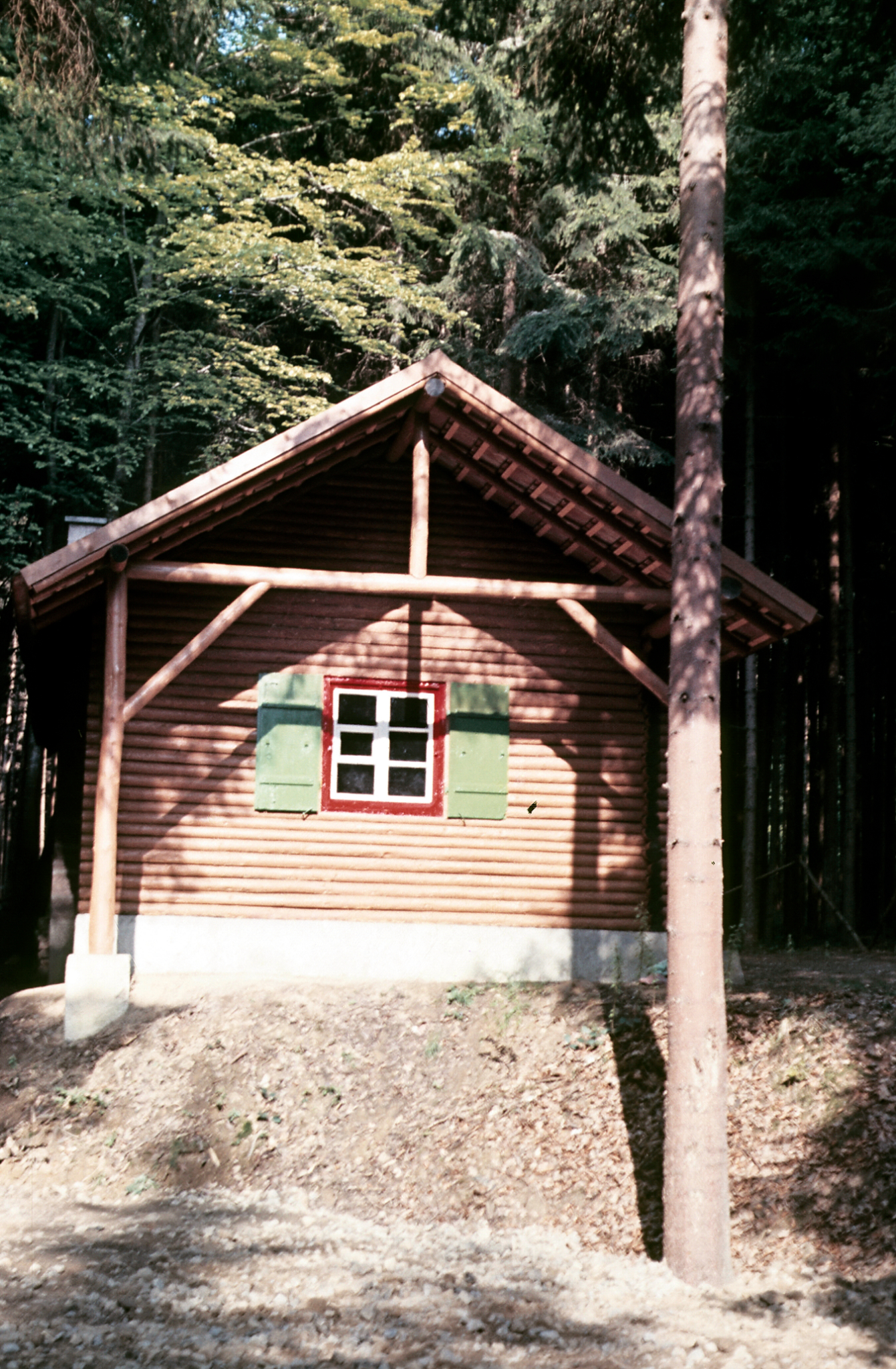 Historische Aufnahme einer kleinen hölzernen Hütte im Wald